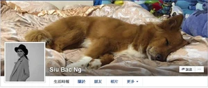 Siu Bac Ng fb帳戶截圖，使用吳若希頭像，橫額上照片又有她喜歡的史迪仔公仔