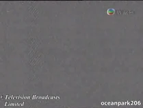 20080420 tvb noon news