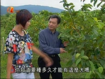 Liu how long does it grow up