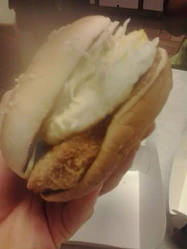 1376612 575876259137563 650105763 n