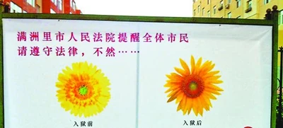 17cx7p.jpg (28 KB) 17cx7p