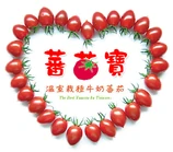 6U7b.jpg (81 KB) 6U7b