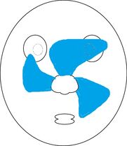 5oAc2.jpg (37 KB) 5oAc2