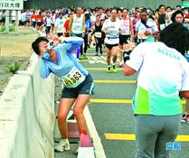 Jpg 2013.jpg (347 KB)