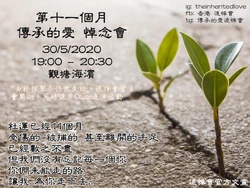 2020年5月30日抗爭十一個月傳承的愛網上悼念會文宣