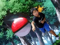 1170798 710146092335026 682631702 n