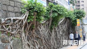 蘋果日報照片