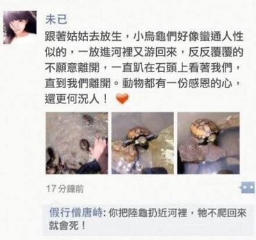 Real plastic 001.jpg (95 KB) Real plastic 001