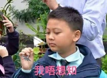 10982623 10153162582598399 2601288450193144898 n