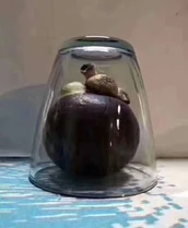 C946fcc6-689a-442a-aae3-1c58fa4bc4ef.jpg (29 KB) C946fcc6-689a-442a-aae3-1c58fa4bc4ef