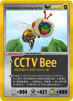 CCTV Bee (CCTVB）