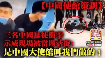 6.2_【中國使館策劃】三名中國暴徒衝擊示威現場被當埸活捉：是中國大使館叫我們做的！