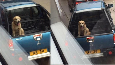 1460711566 79e3.jpg (151 KB) 互聯網流傳圖片