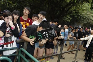 1398936527 427d.jpg (255 KB) 1398936527 427d