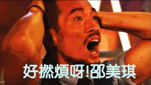 Di-2XYR.gif (504 KB) 網民製圖,表示受不了邵美琪的煩膠角色