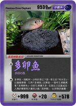 多卵魚（多撚餘）