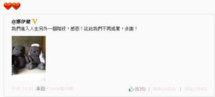 1359448917 f33a.jpg (26 KB)