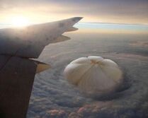 Mangkhut fruit eye.jpg (184 KB) Mangkhut fruit eye