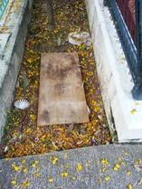 1096953 10151791124604600 1406110164 o.jpg (419 KB) 1096953 10151791124604600 1406110164 o