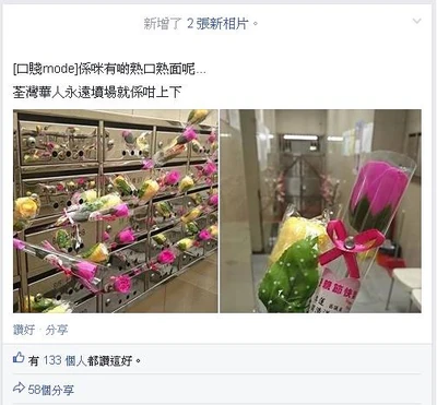 Motherdaypigeonholeliketomb