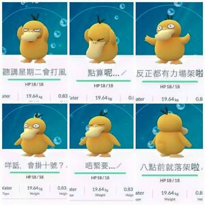 13906915 10157442416050495 8261264512799216567 n.jpg (80 KB) 13906915 10157442416050495 8261264512799216567 n