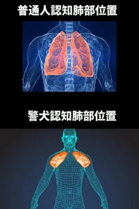 71913709 1867882183336881 1646740613619515392 n.jpg (62 KB)