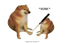 不可以色色BONK