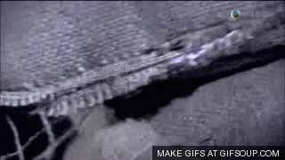 馬賽被強暴的動態gif圖