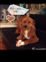 Cdcaeacbcb91cd9662f5d012a3bb25c1.png (648 KB) 與吳若希家中的陳設有不少相似之處