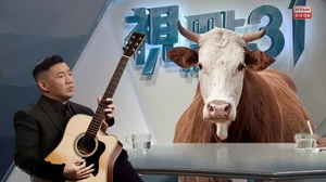 有網民改圖諷刺情況如杜汶澤對陳百祥對牛彈琴