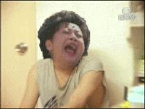 Bzs.gif (343 KB) Bzs