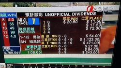 10415581 637227859738198 6430139917726513661 n