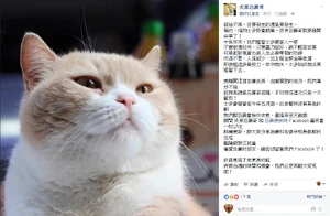 Creamgorgoodbyetsimeast