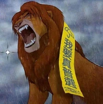 1959383 810466882331380 8598717499548808261 n