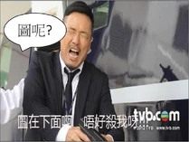 10204090.jpg (41 KB) 10204090