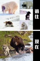 394926 502692859781671 2005405428 n.jpg (107 KB) 394926 502692859781671 2005405428 n