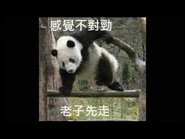 劉鳴煒氣魄更壯