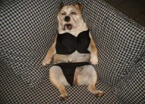 Aq319177a59.jpg (122 KB) Aq319177a59