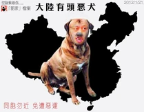 Tung is mainland dog.jpg (168 KB) 大陸有狗,同胞勿近
