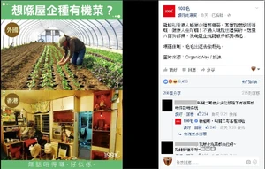 100毛fb專頁截圖
