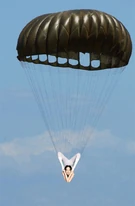 PARA.jpg (39 KB) PARA