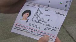 Moonlight suen ho yuet passport