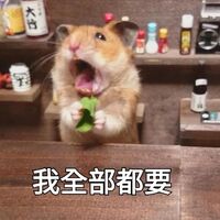 2盒 thx(倉鼠 我全部都要)