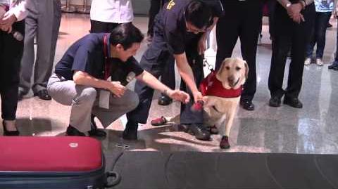 轉載 馬英九跟桃園機場海關緝毒犬 Yogi 握手