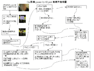 自貼事件流程圖