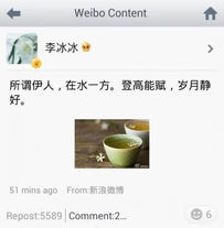 李冰冰賦詩讚譽：所謂伊人，在水一方。登高能賦，歲月靜好。