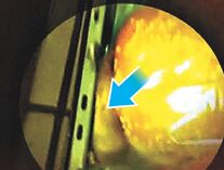 25wk30pn.jpg (38 KB) 25wk30pn