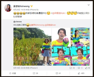 Guaskingreenfishsamedress2.png (269 KB) Guaskingreenfishsamedress2