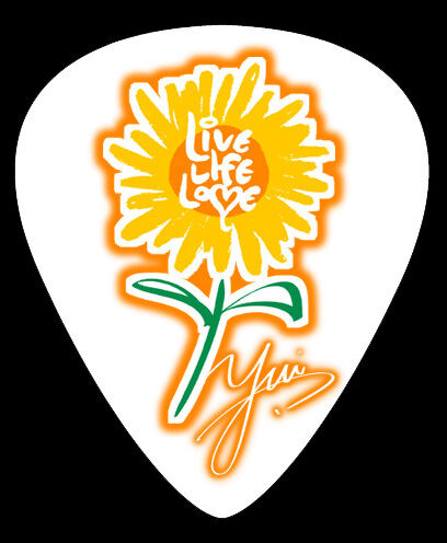 Pick Design By 加旋比路