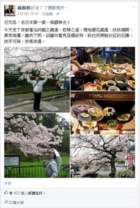 Treerootjapaneatsakura1